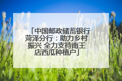 中国邮政储蓄银行菏泽分行：助力乡村振兴 全力支持南王店西瓜种植户