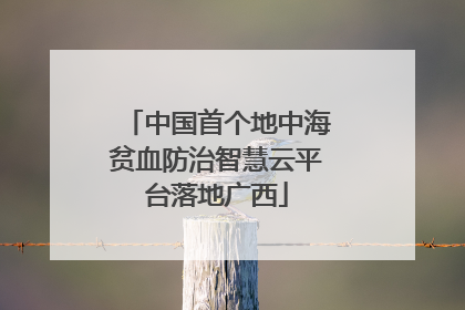 中国首个地中海贫血防治智慧云平台落地广西