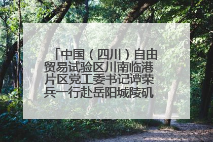 中国（四川）自由贸易试验区川南临港片区党工委书记谭荣兵一行赴岳阳城陵矶综保区考察