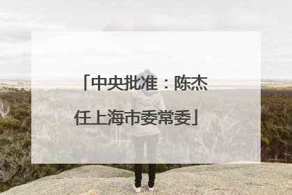 中央批准：陈杰任上海市委常委
