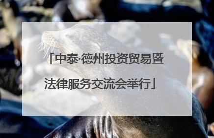 中泰·德州投资贸易暨法律服务交流会举行