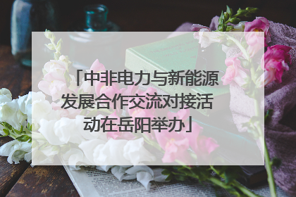 中非电力与新能源发展合作交流对接活动在岳阳举办