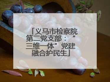 义马市检察院第二党支部：“三维一体”党建融合护民生