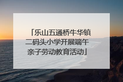 乐山五通桥牛华镇二码头小学开展端午亲子劳动教育活动
