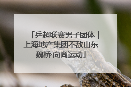 乒超联赛男子团体｜上海地产集团不敌山东魏桥·向尚运动