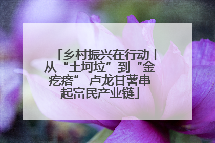 乡村振兴在行动丨从“土坷垃”到“金疙瘩” 卢龙甘薯串起富民产业链