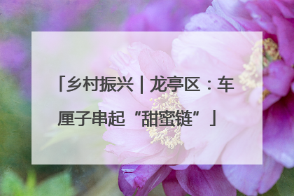 乡村振兴｜龙亭区：车厘子串起“甜蜜链”