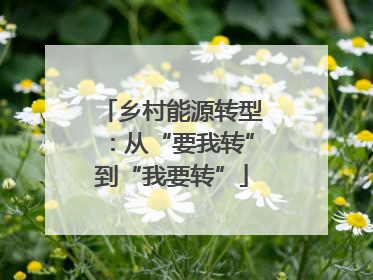 乡村能源转型：从“要我转”到“我要转”