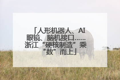 人形机器人、AI眼镜、脑机接口……浙江“硬核制造”乘“数”而上