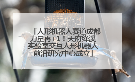 人形机器人赛道成都力量再+1！天府绛溪实验室交互人形机器人前沿研究中心成立