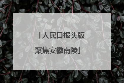 人民日报头版聚焦安徽南陵