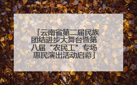 云南省第二届民族团结进步大舞台暨第八届“农民工”专场惠民演出活动启幕