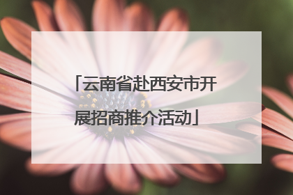 云南省赴西安市开展招商推介活动