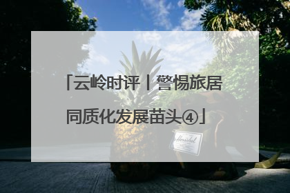 云岭时评丨警惕旅居同质化发展苗头④