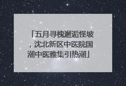 五月寻槐邂逅怪坡，沈北新区中医院国潮中医雅集引热潮