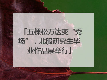 五棵松万达变“秀场”，北服研究生毕业作品展举行