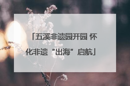 五溪非遗园开园 怀化非遗“出海”启航