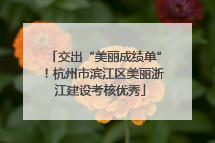 交出“美丽成绩单”！杭州市滨江区美丽浙江建设考核优秀