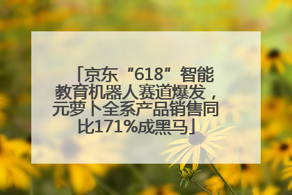 京东“618”智能教育机器人赛道爆发，元萝卜全系产品销售同比171%成黑马