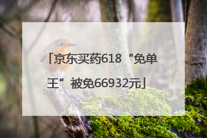京东买药618“免单王”被免66932元