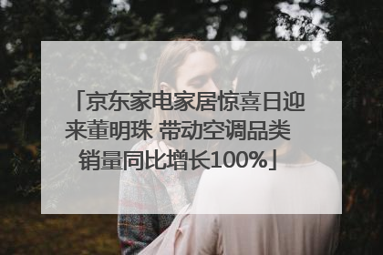 京东家电家居惊喜日迎来董明珠 带动空调品类销量同比增长100%