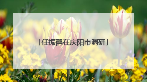 任振鹤在庆阳市调研