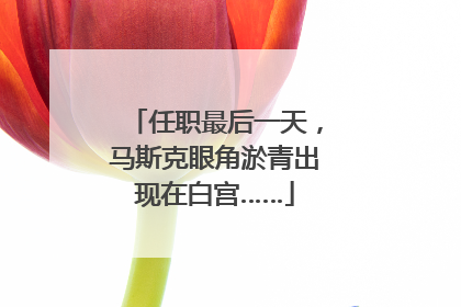 任职最后一天，马斯克眼角淤青出现在白宫……