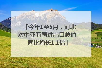 今年1至5月，河北对中亚五国进出口总值同比增长1.1倍