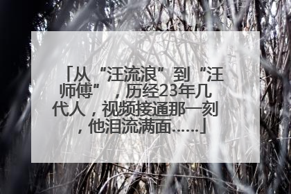 从“汪流浪”到“汪师傅”，历经23年几代人，视频接通那一刻，他泪流满面……