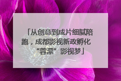 从创意到成片细腻陪跑，成都影视新政孵化“蓉漂”影视梦
