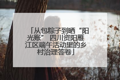 从包粽子到晒“阳光账” 四川资阳雁江区端午活动里的乡村治理答卷