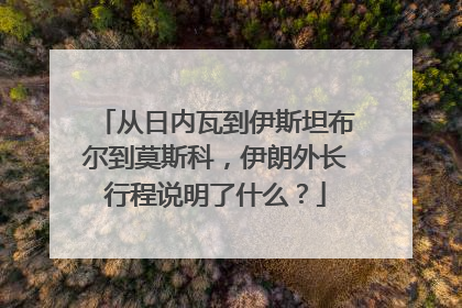 从日内瓦到伊斯坦布尔到莫斯科，伊朗外长行程说明了什么？
