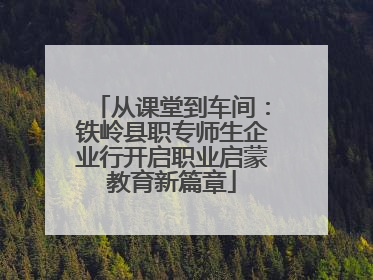 从课堂到车间：铁岭县职专师生企业行开启职业启蒙教育新篇章