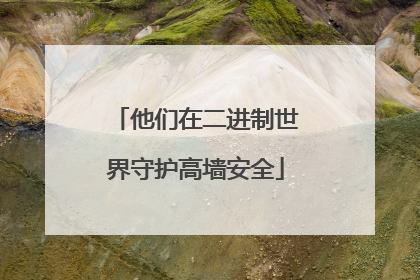 他们在二进制世界守护高墙安全
