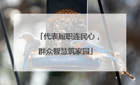 代表履职连民心，群众智慧筑家园
