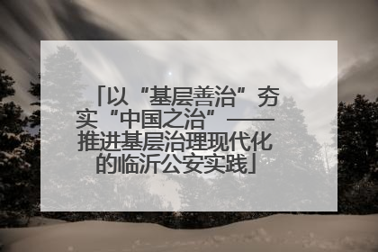 以“基层善治”夯实“中国之治”——推进基层治理现代化的临沂公安实践