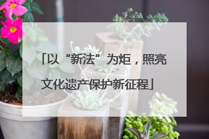 以“新法”为炬，照亮文化遗产保护新征程