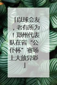 以球会友，老有所为！郑州代表队在省“公仆杯”赛场上大放异彩