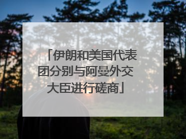 伊朗和美国代表团分别与阿曼外交大臣进行磋商