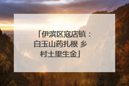 伊滨区寇店镇：白玉山药扎根 乡村土里生金