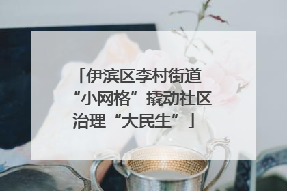 伊滨区李村街道 “小网格”撬动社区治理“大民生”