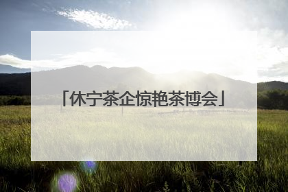 休宁茶企惊艳茶博会