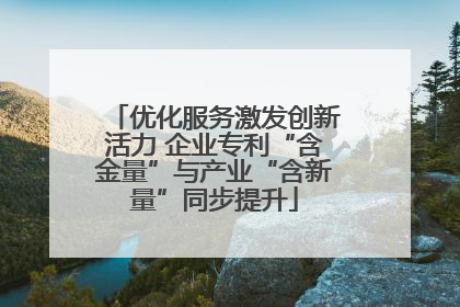 优化服务激发创新活力 企业专利“含金量”与产业“含新量”同步提升