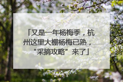 又是一年杨梅季，杭州这里大棚杨梅已熟，“采摘攻略”来了