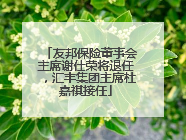 友邦保险董事会主席谢仕荣将退任，汇丰集团主席杜嘉祺接任
