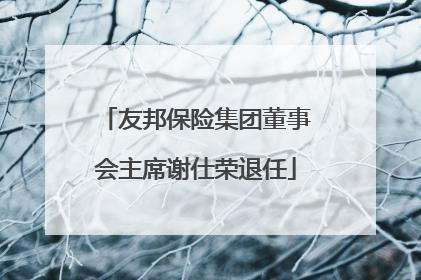 友邦保险集团董事会主席谢仕荣退任
