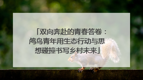 双向奔赴的青春答卷：鸬鸟青年用生态行动与思想碰撞书写乡村未来