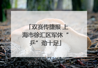 双赛传捷报 上海市徐汇区军休“乒”劲十足