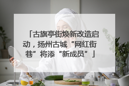 古旗亭街焕新改造启动，扬州古城“网红街巷”将添“新成员”