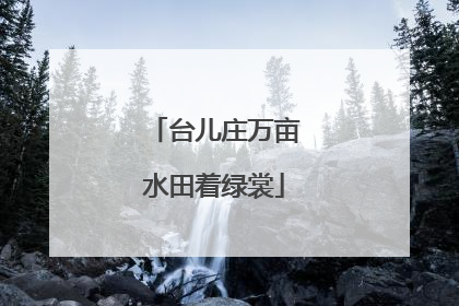 台儿庄万亩水田着绿裳